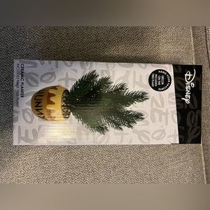 Disney Hunny Pot planter